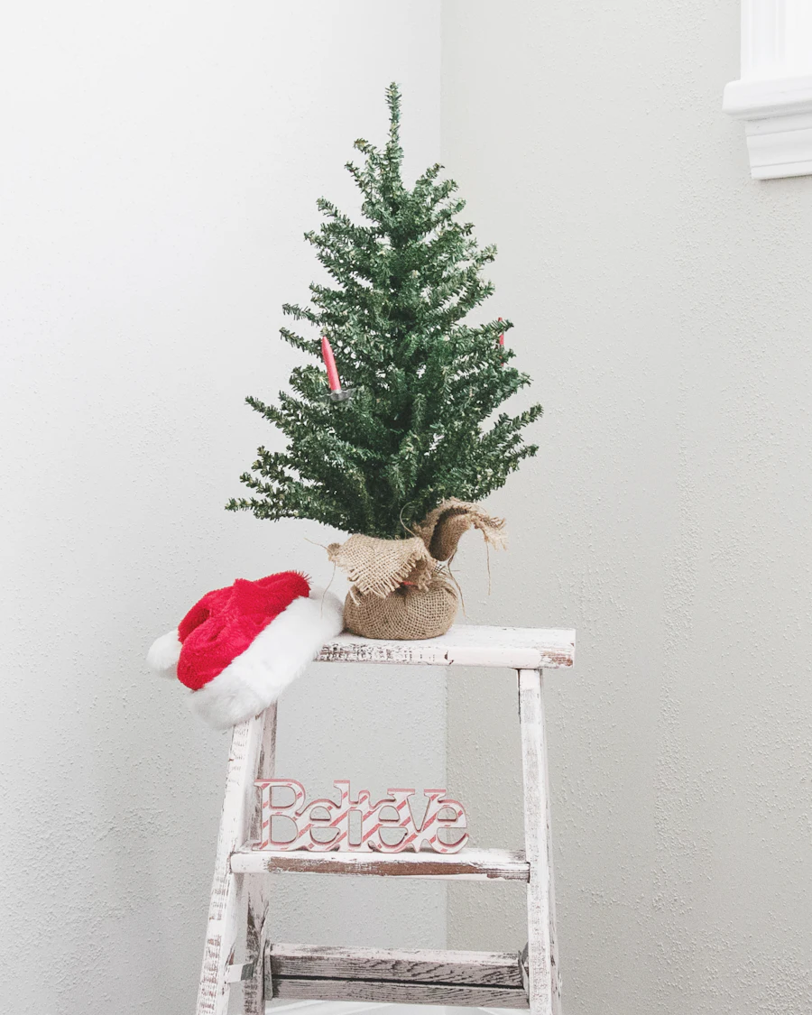 A small potted Christmas tree on a stool