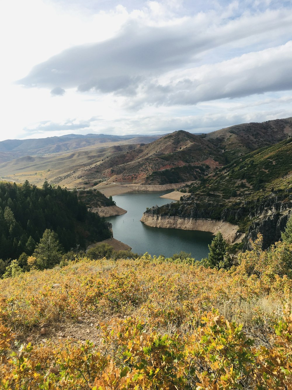 árboles verdes cerca del río bajo nubes blancas durante el día