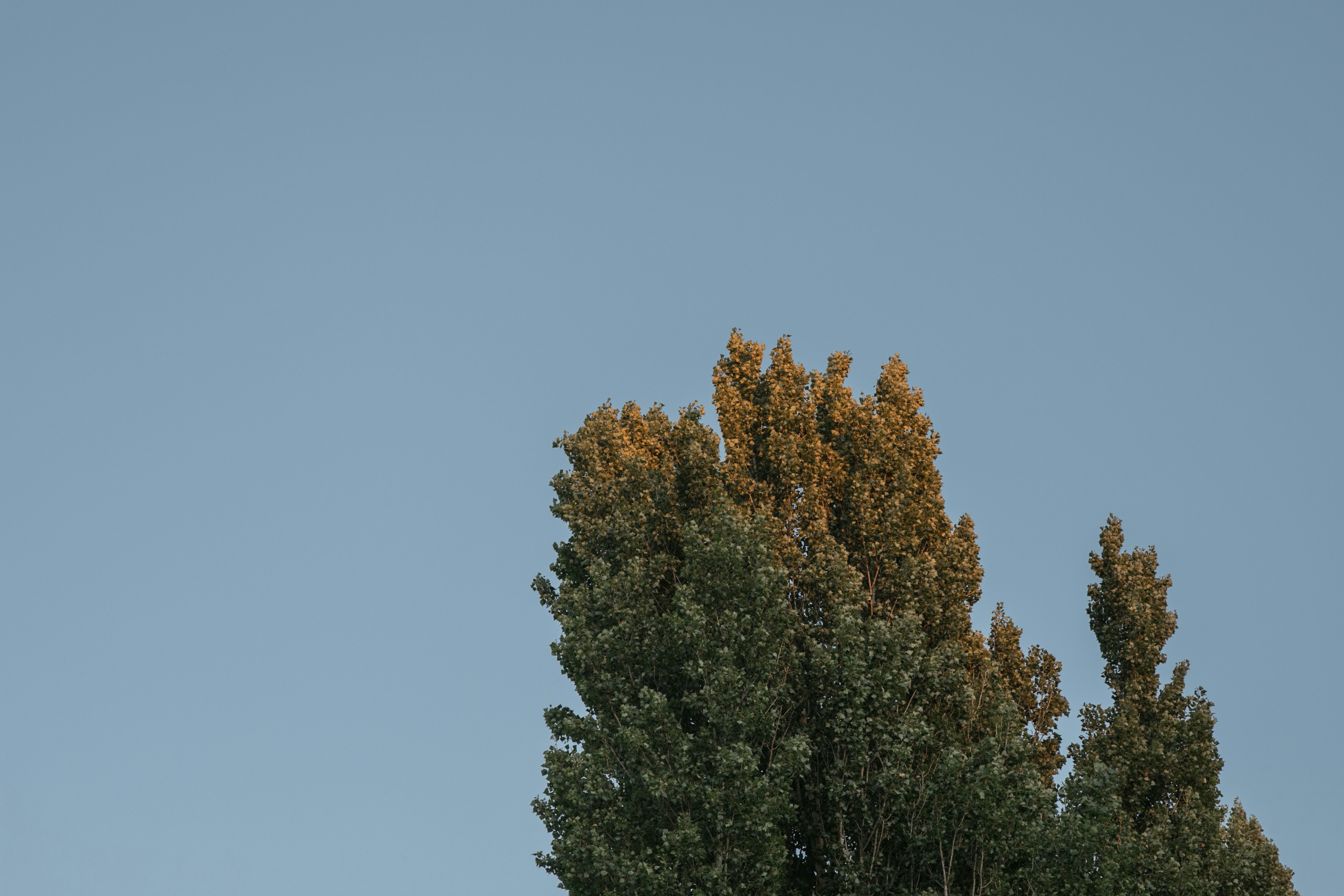 Photo by anna_nodolf