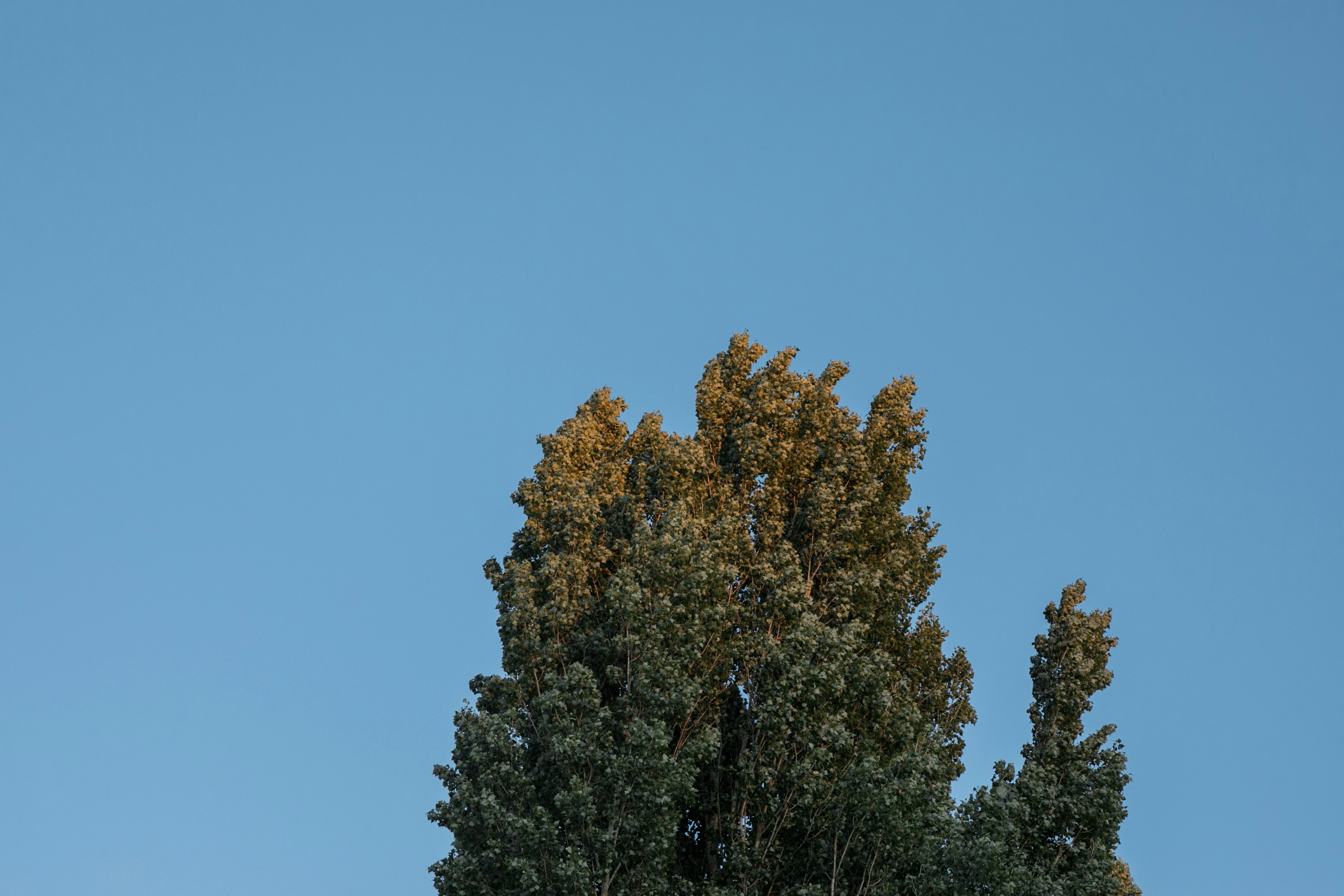 Photo by anna_nodolf