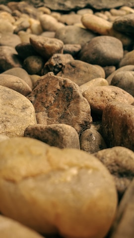 A close-up of smooth river stones in warm brown and yellow tones, reflecting natural earthiness.