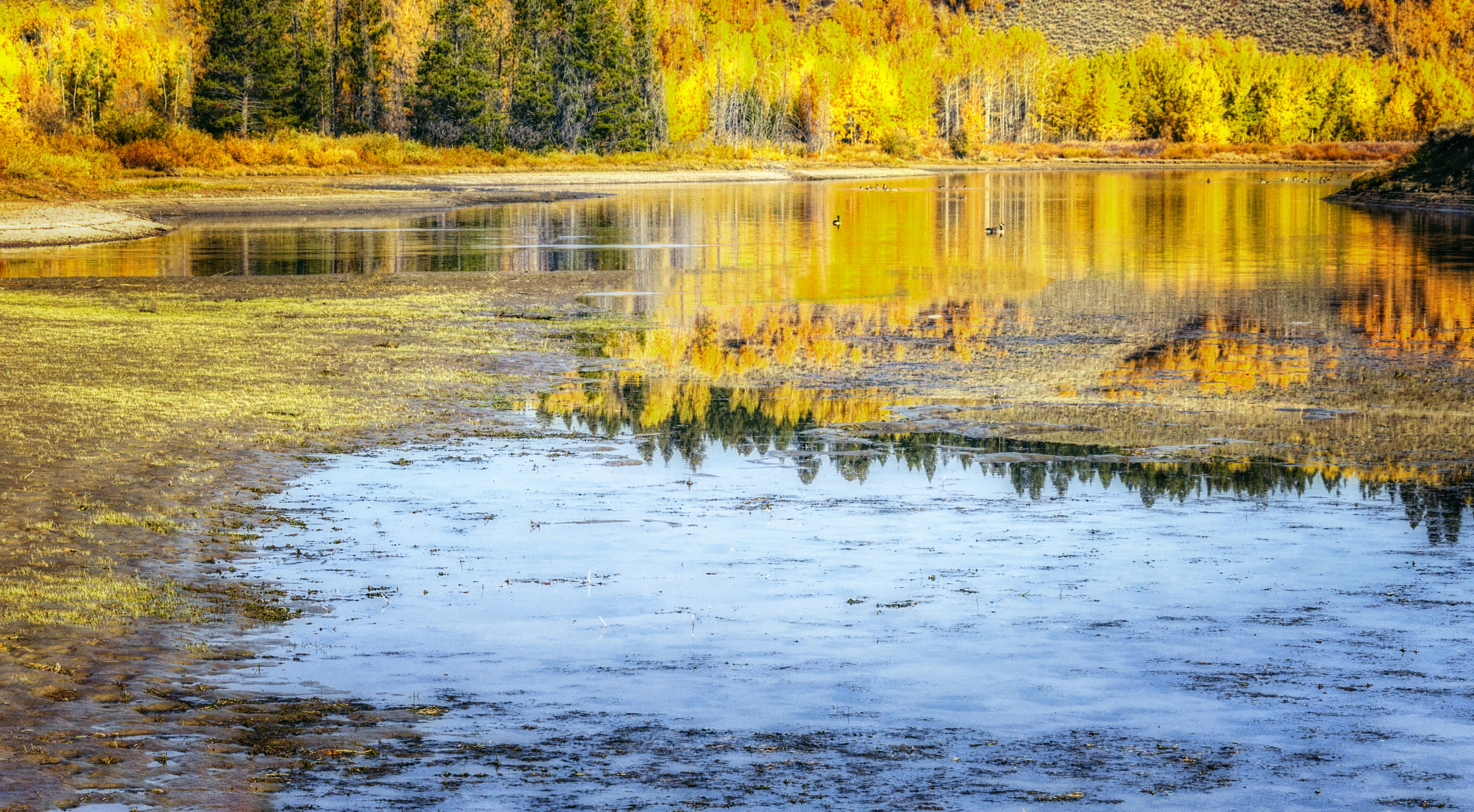 Photo by sterlinglanier