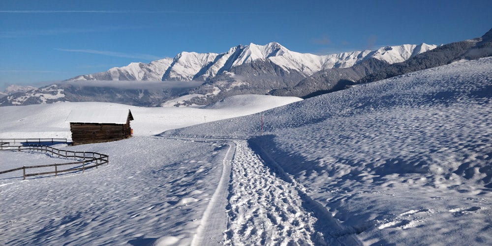 person in black jacket and brown pants standing on snow covered ground during daytime