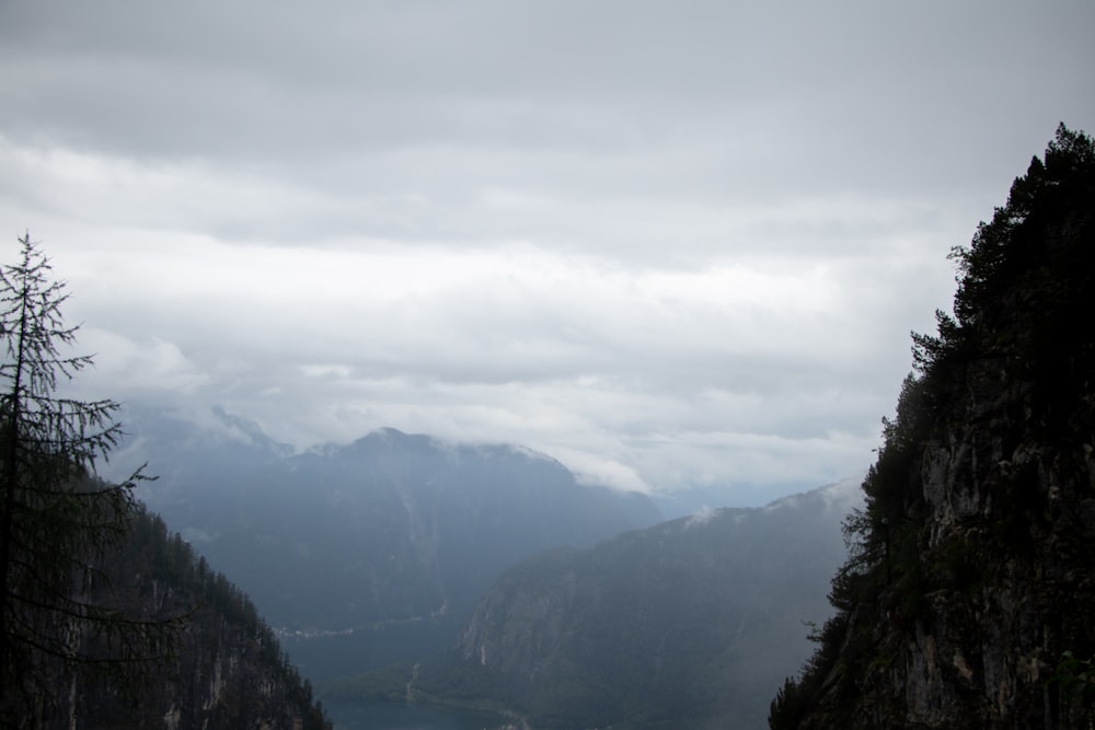 green trees on mountain during daytime