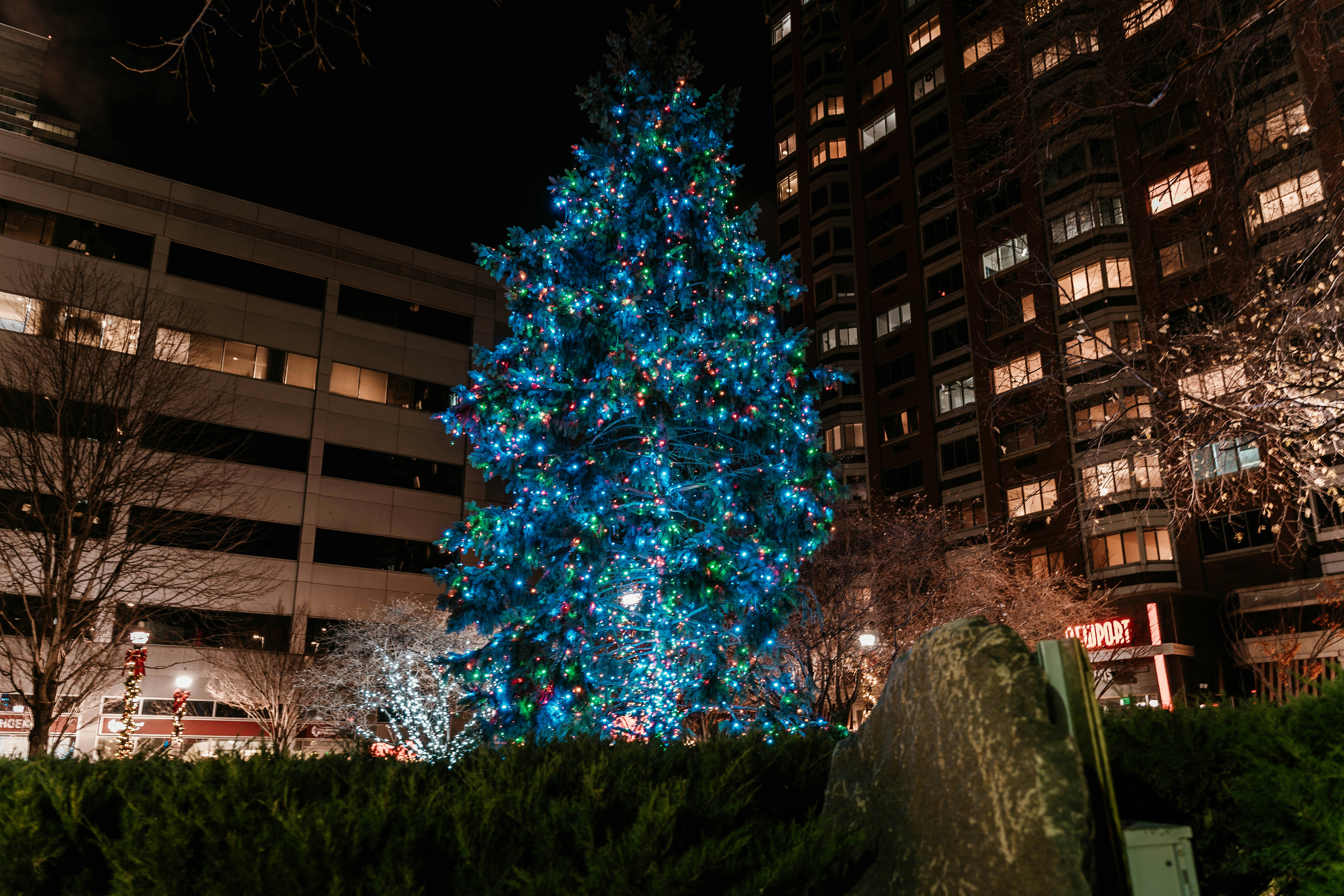 blue and white christmas tree
