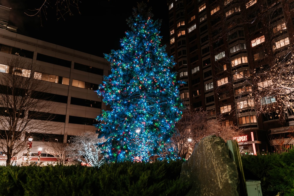 blue and white christmas tree