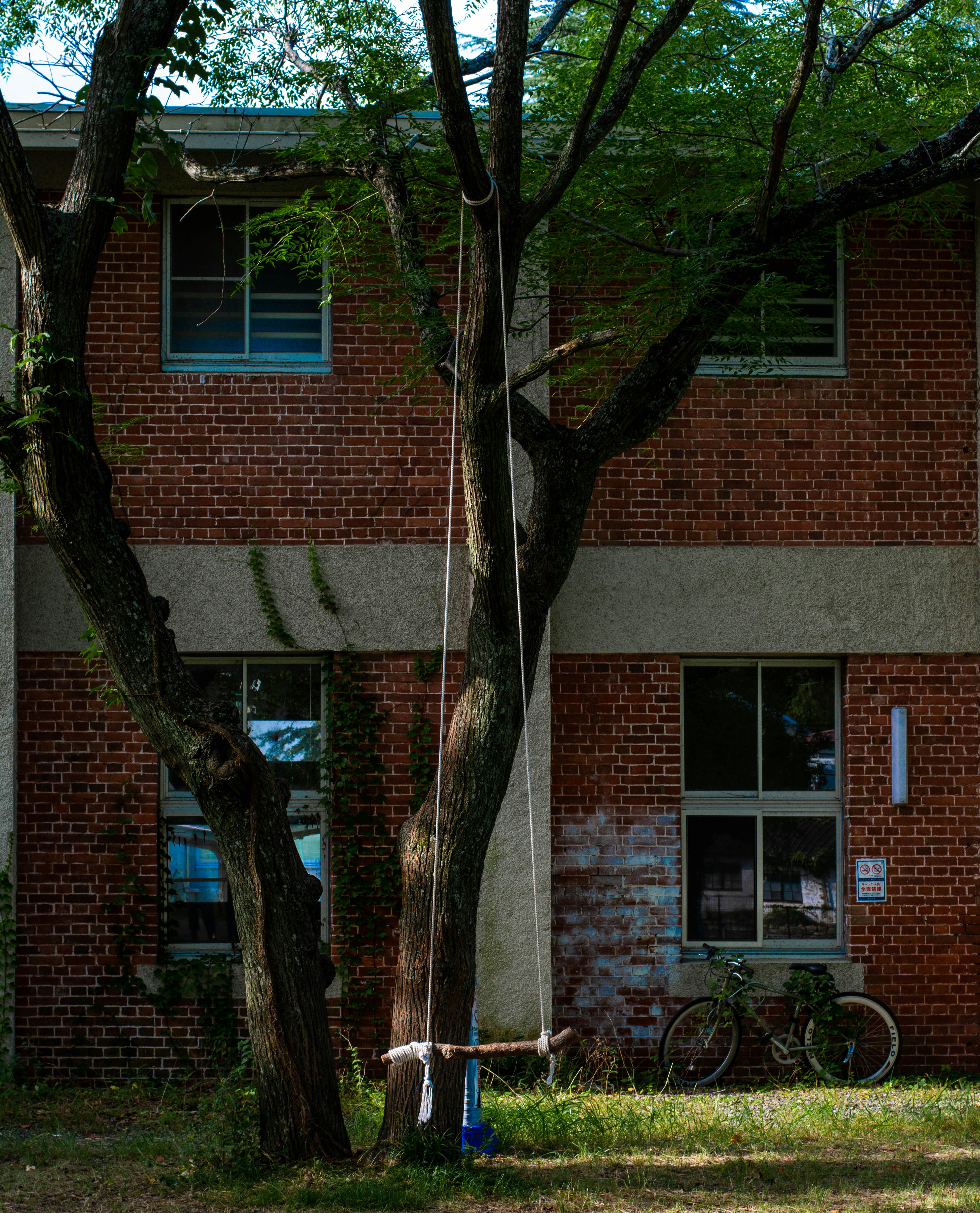 Brauner Baum in der Nähe von Brown Brick Building