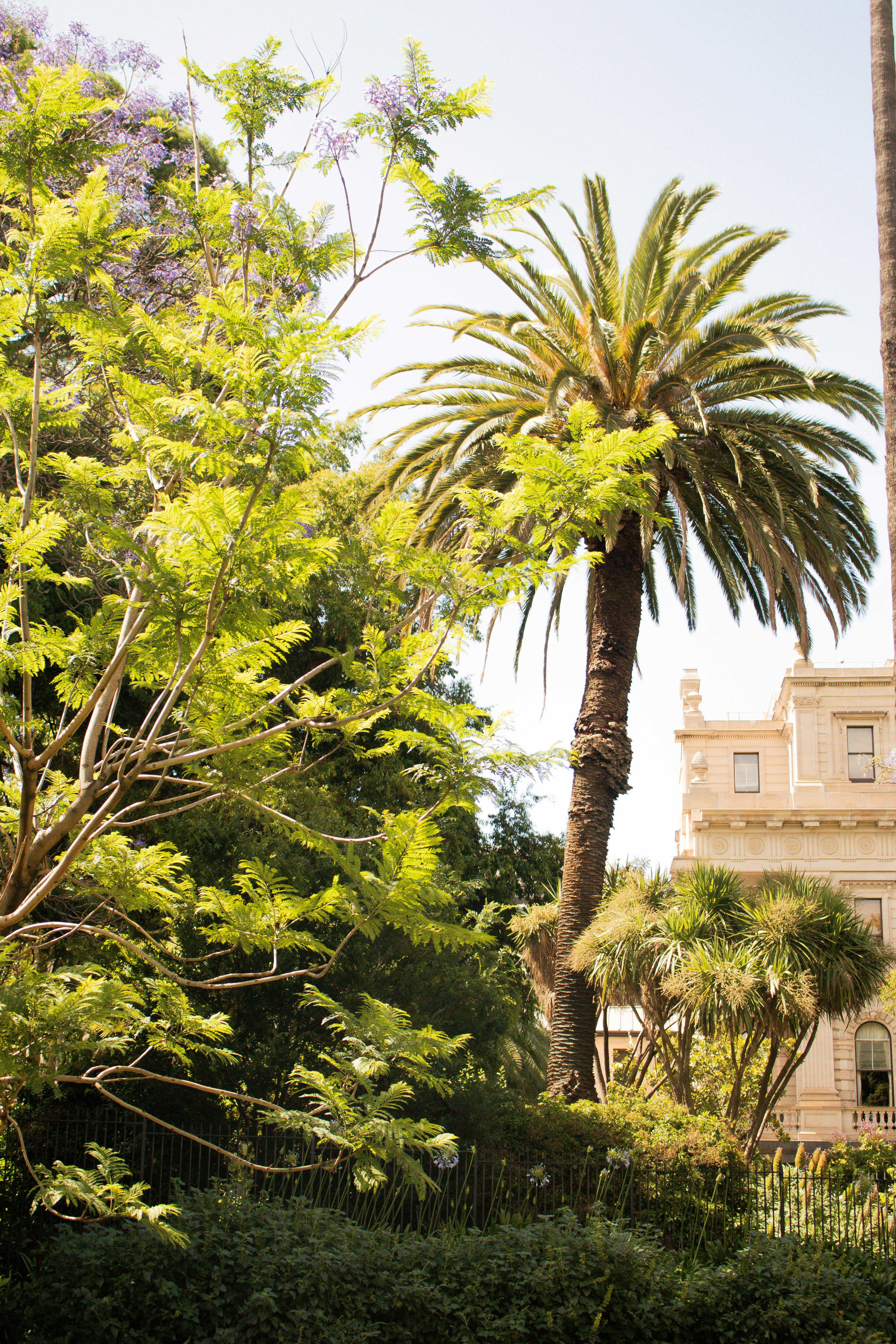 Photo by gabriellefaithhenderson