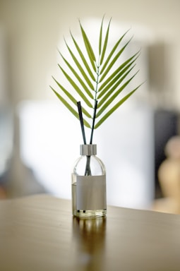 A glass bottle with a silver cap contains liquid and a pair of black diffuser sticks, placed on a wooden surface. A green palm leaf is positioned in the bottle, extending upwards with its fronds fanned out attractively. The background is softly blurred, focusing on the minimalist arrangement on the table.