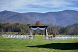 A picturesque outdoor wedding setup is situated in a lush green field. Rows of white chairs are arranged in front of a wooden arbor adorned with white drapery and decorative flowers. Majestic mountains with a hint of fall foliage serve as a breathtaking backdrop under a partly cloudy sky.