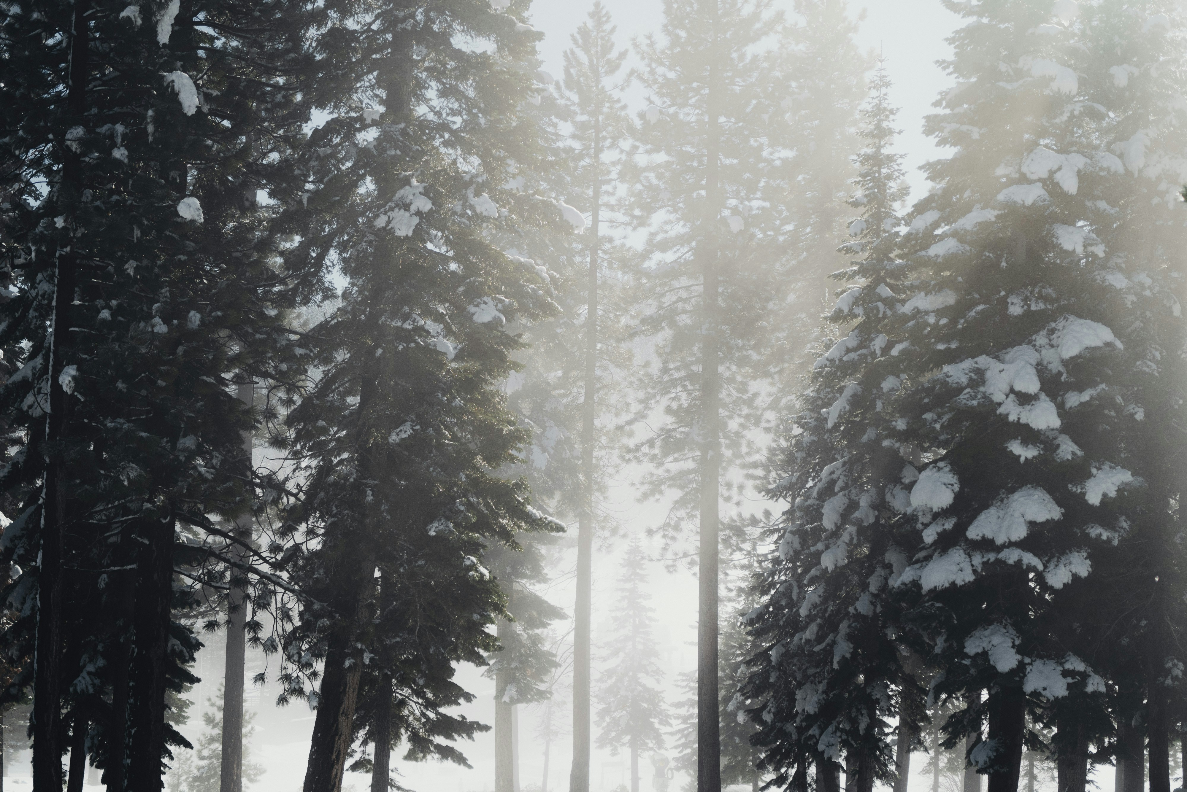 Photo by thommilkovic