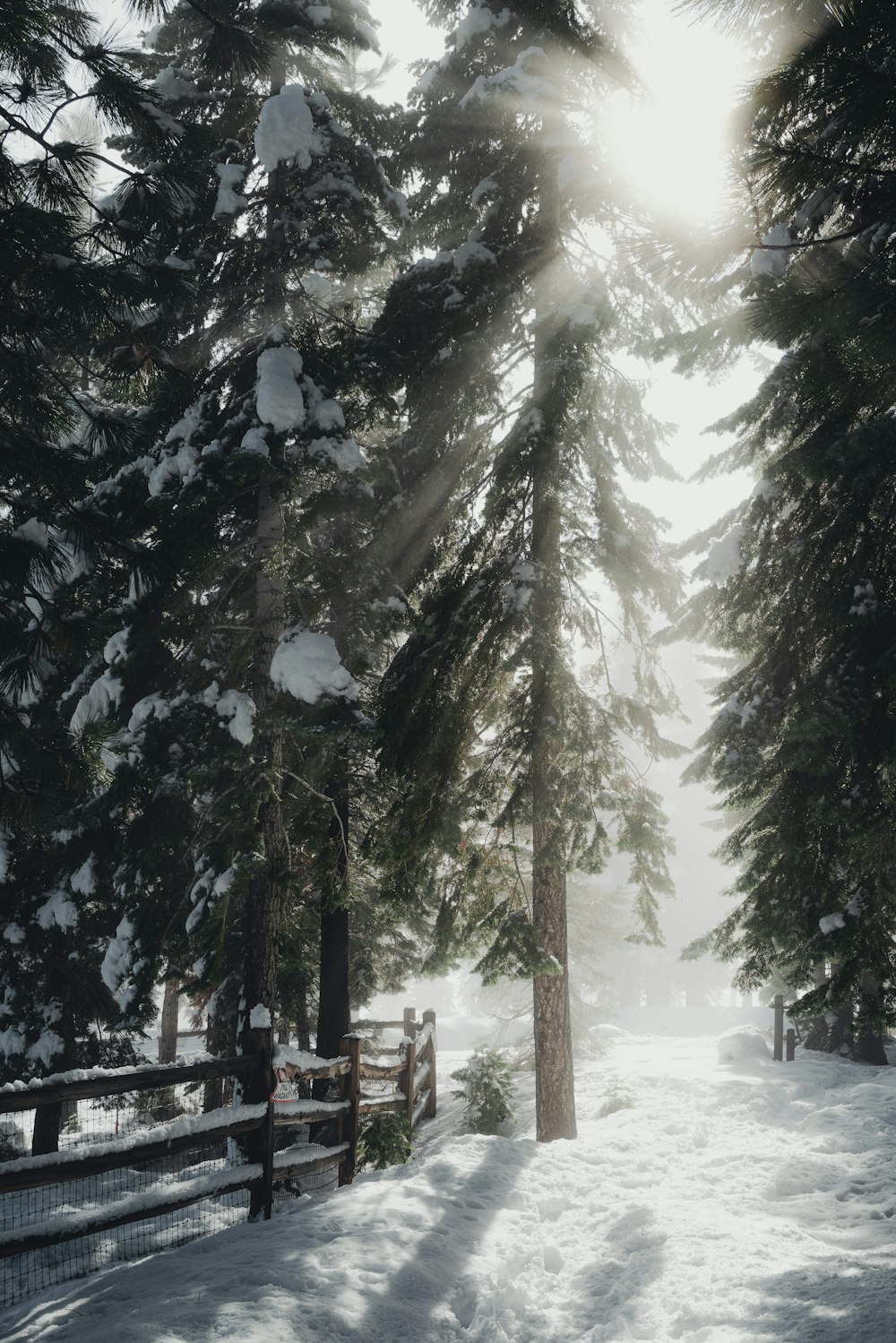 brown wooden bench on snow covered ground