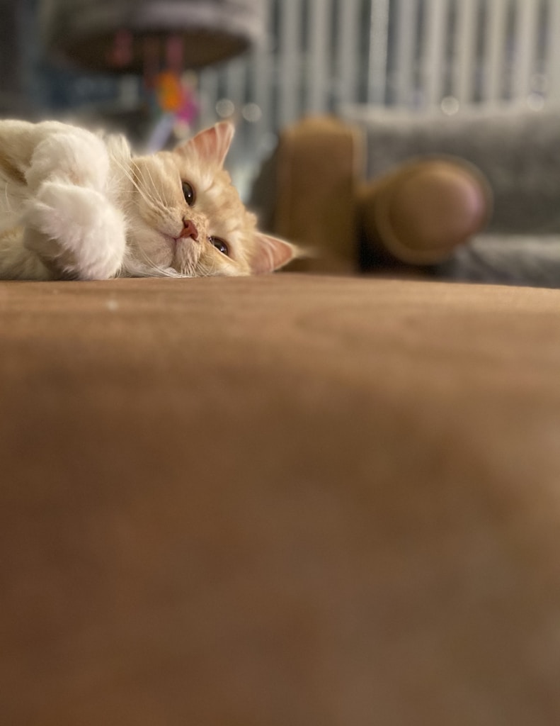 Gentle Glow Grooming Brush