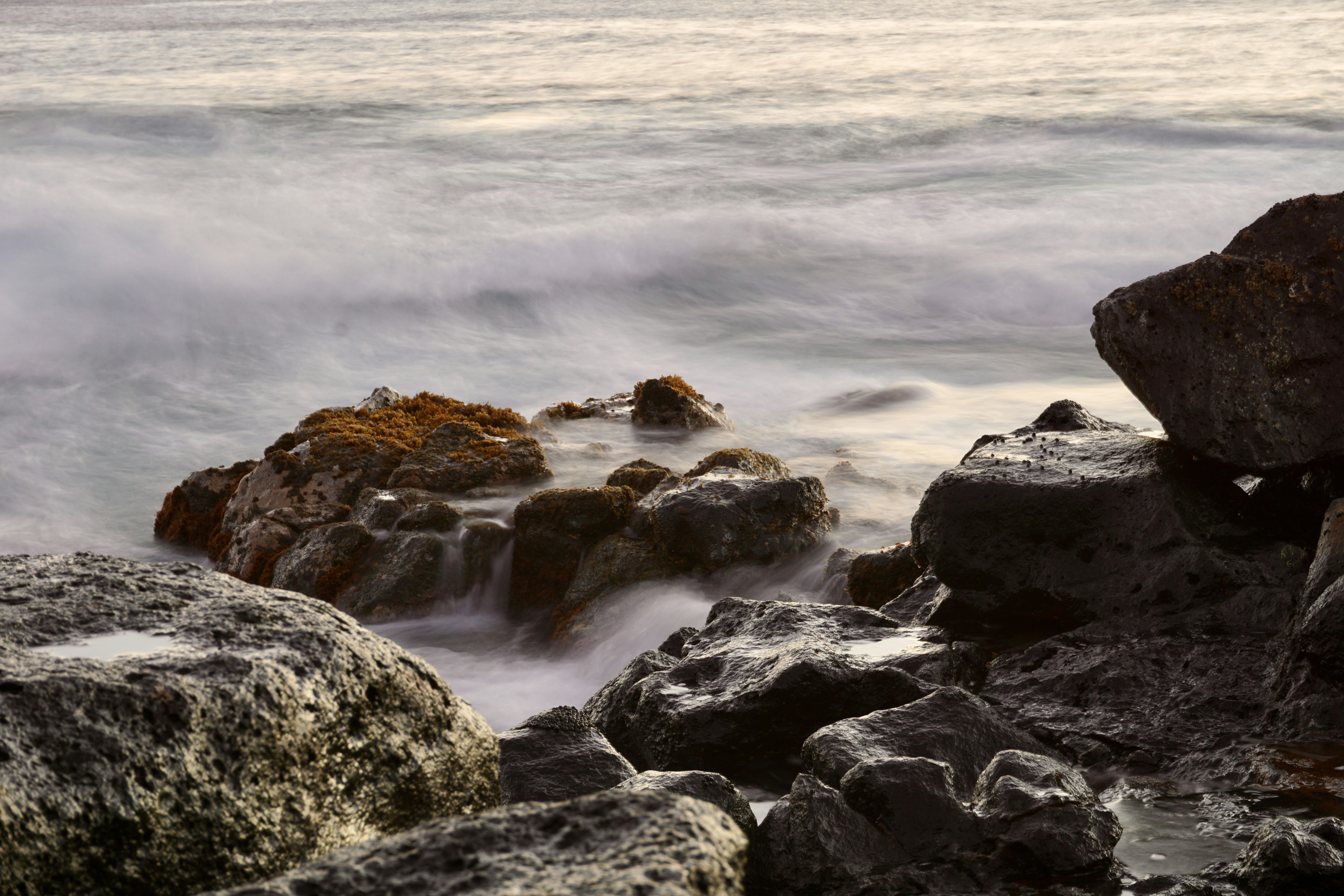 Photo by knut____robinson