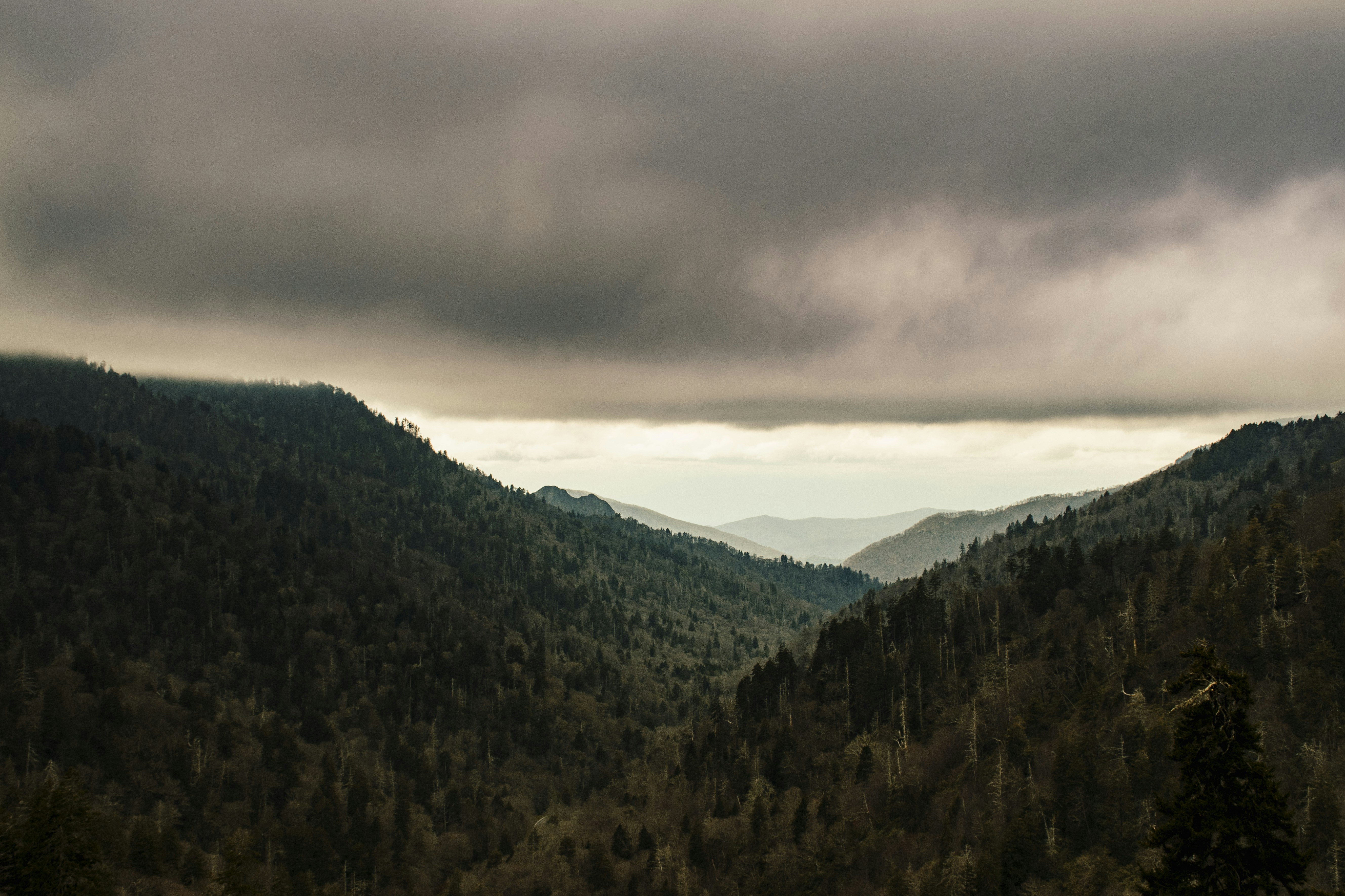 Photo by gabrielrana