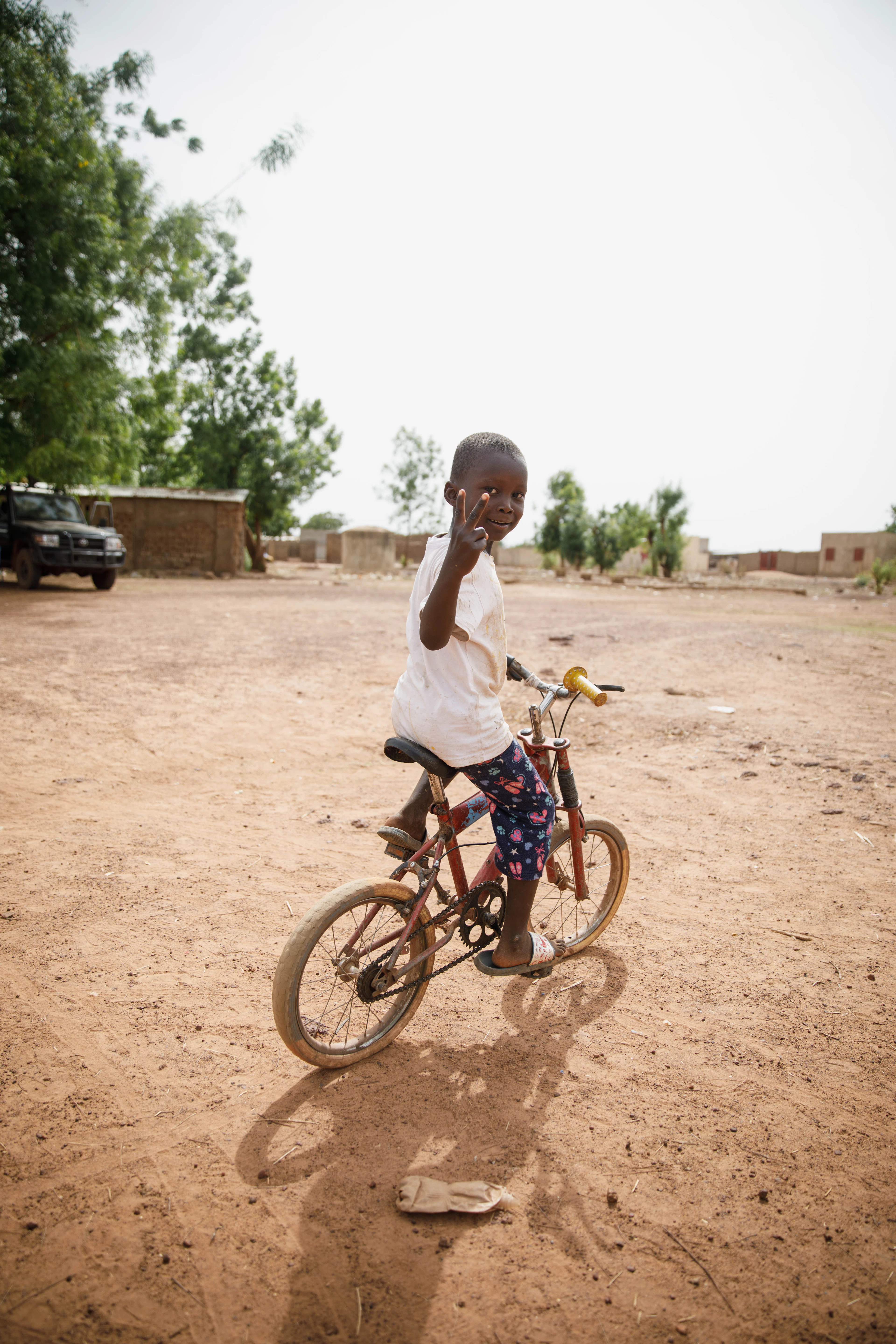 Mali landscape