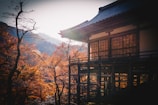 A traditional wooden building is situated against a backdrop of autumn foliage. The sun is setting, casting a warm glow over the structures and trees. The scene is serene and peaceful, with intricate architecture and a natural landscape.
