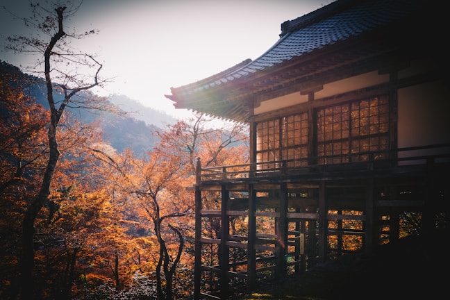 A traditional wooden building is situated against a backdrop of autumn foliage. The sun is setting, casting a warm glow over the structures and trees. The scene is serene and peaceful, with intricate architecture and a natural landscape.