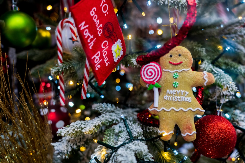 brown bear with red and white candy cane ornament