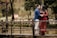 man in blue jacket standing beside woman in red dress