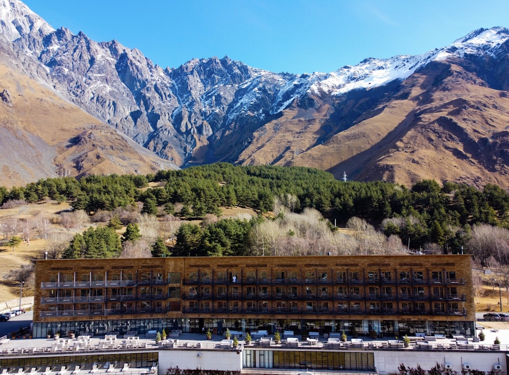 green trees and brown mountains during daytime