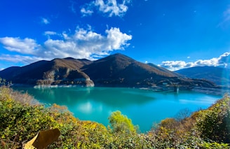lake surrounded by green trees and mountains under blue sky during daytime