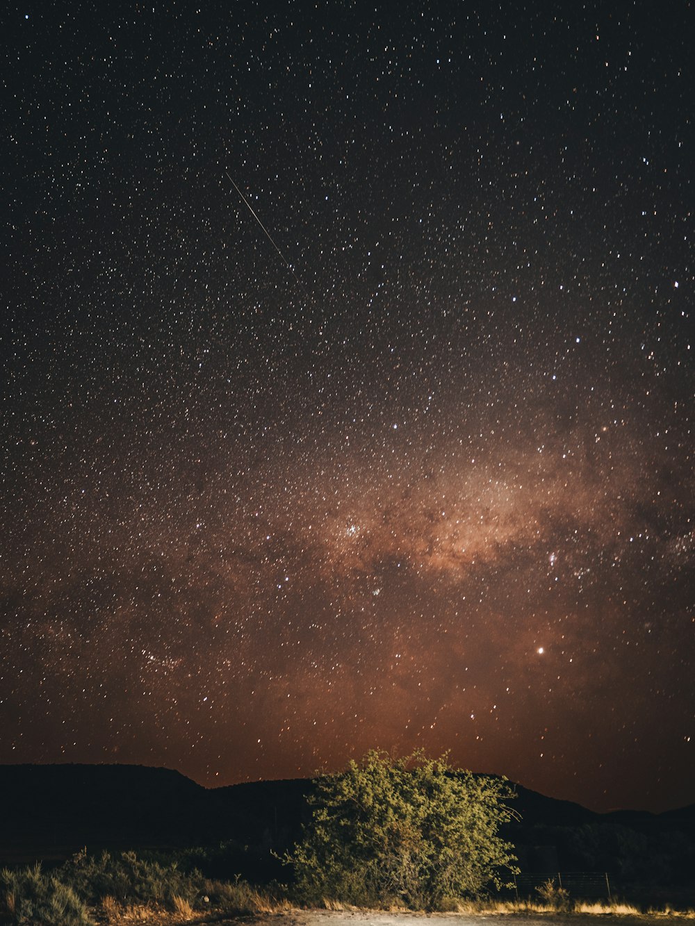 green grass under starry night