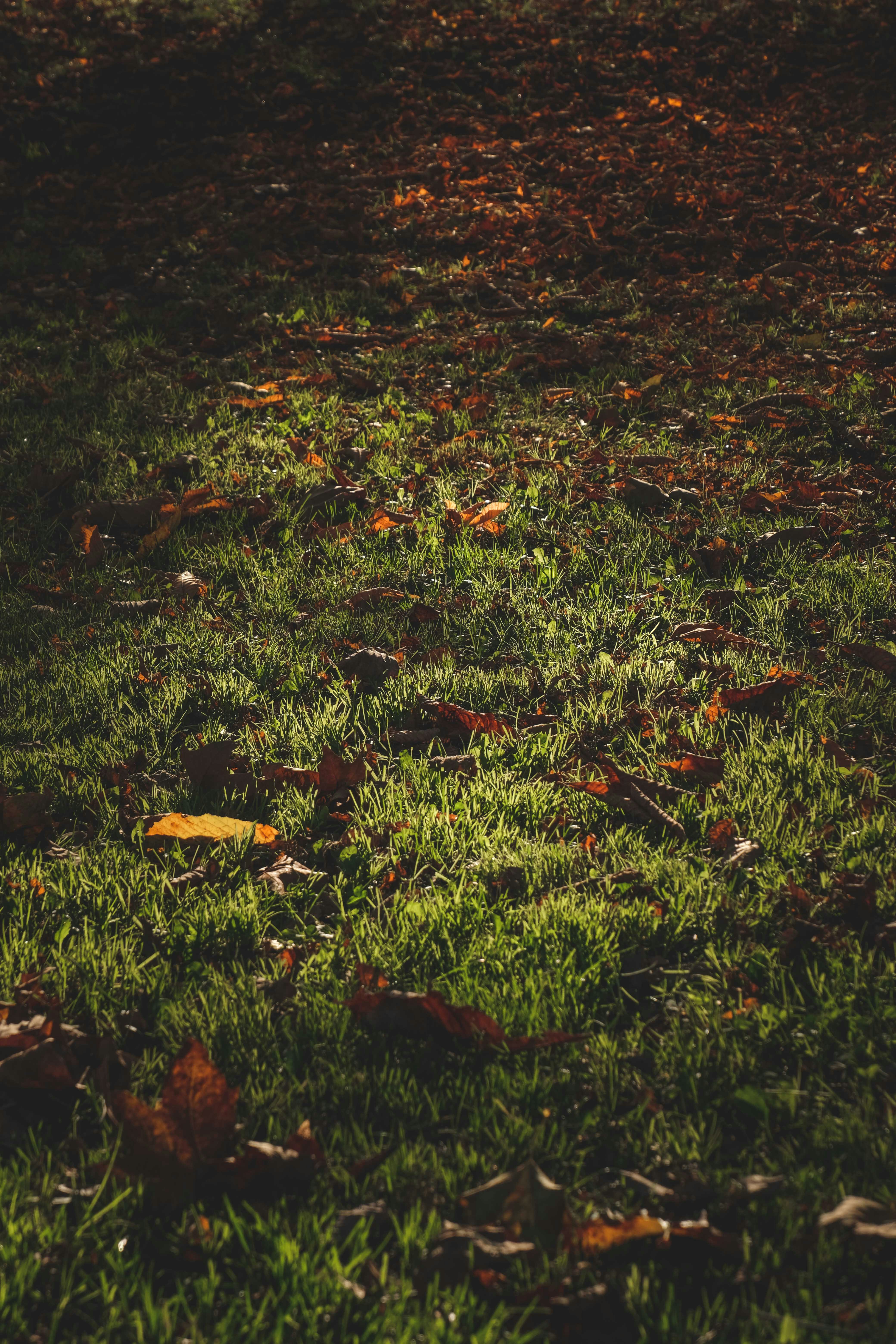 Photo by francesco_ungaro