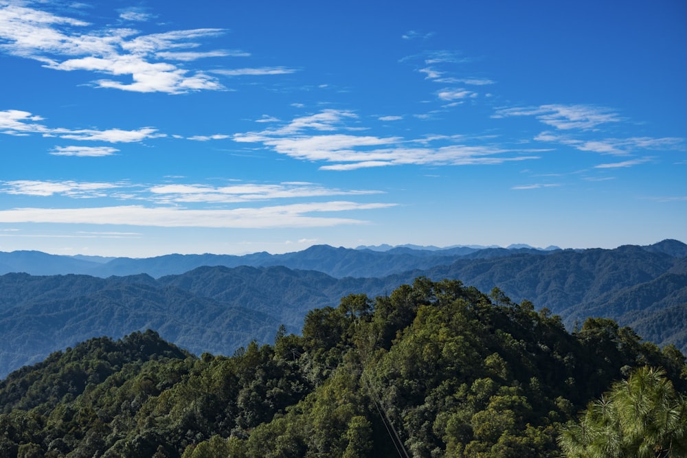 green trees on mountain under blue sky during daytime