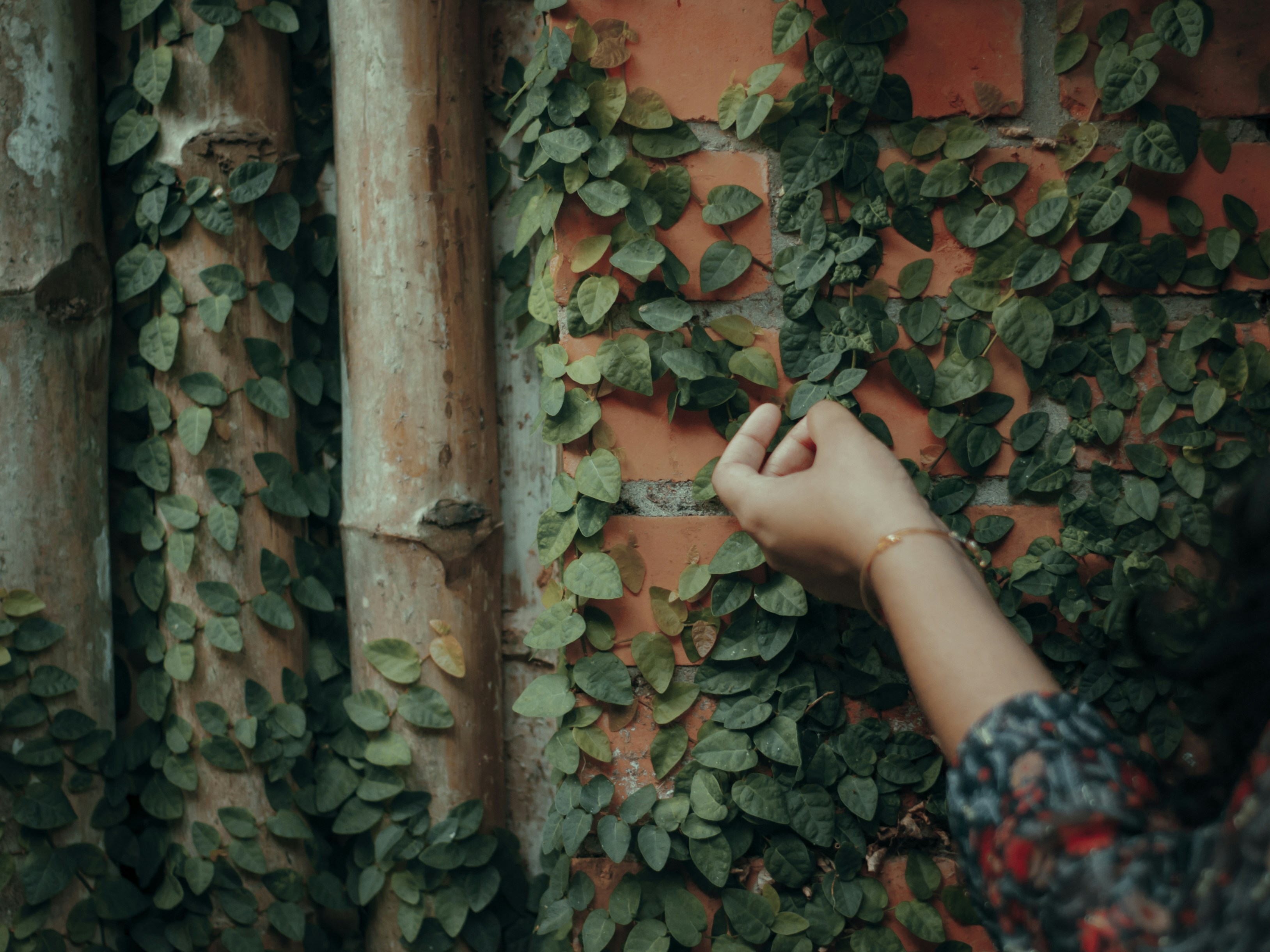 Photo by sharathsinstastories