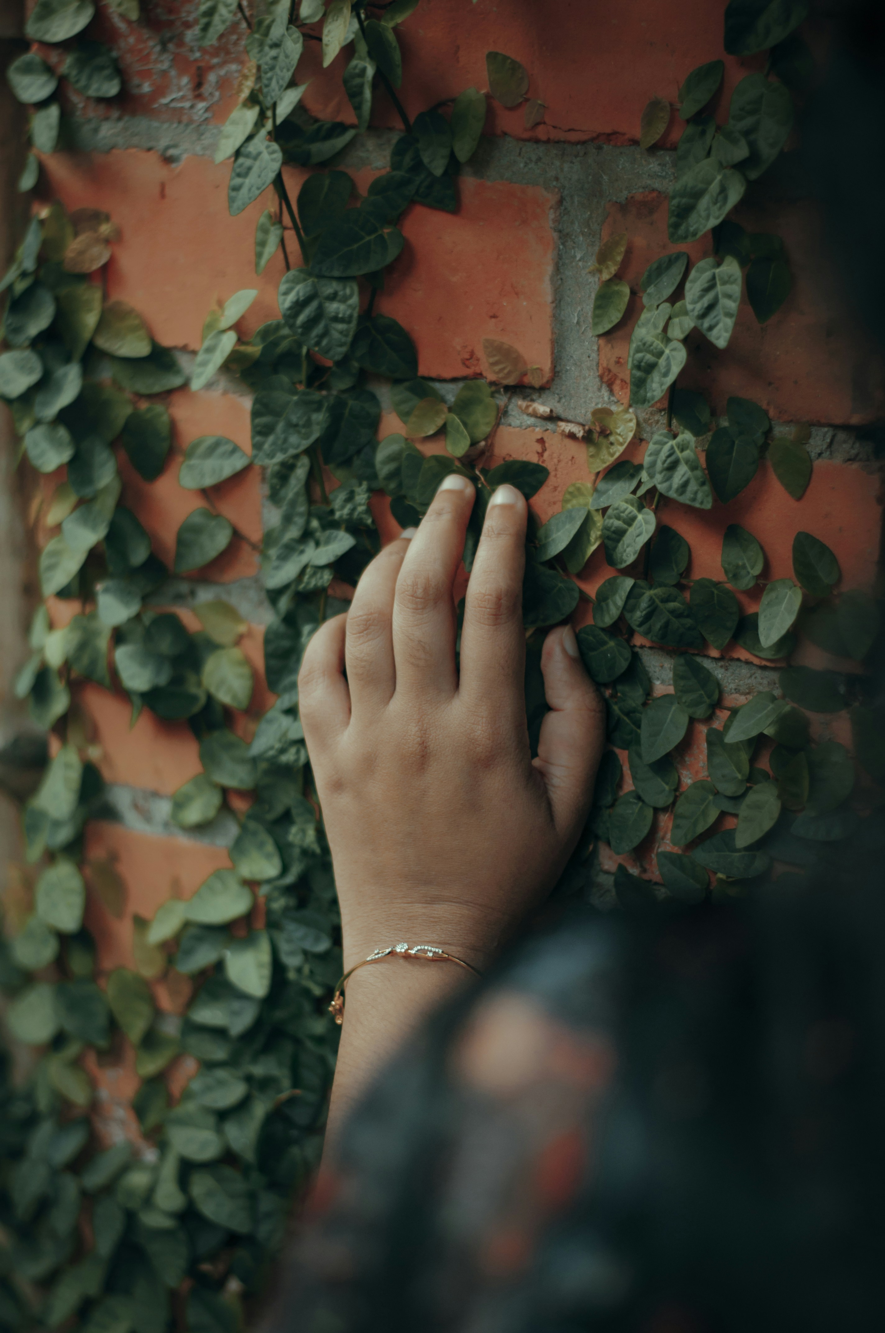 Photo by sharathsinstastories