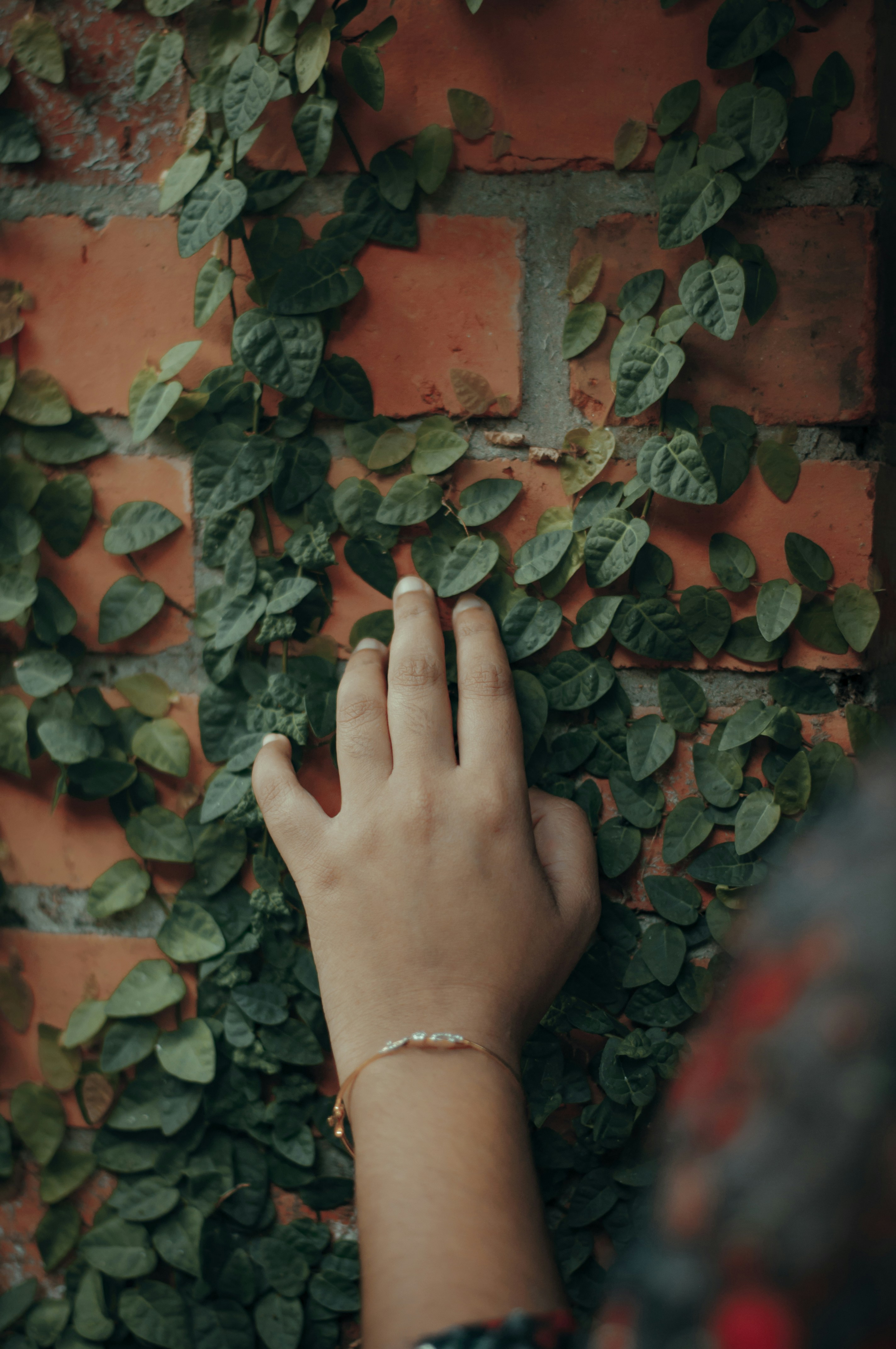 Photo by sharathsinstastories