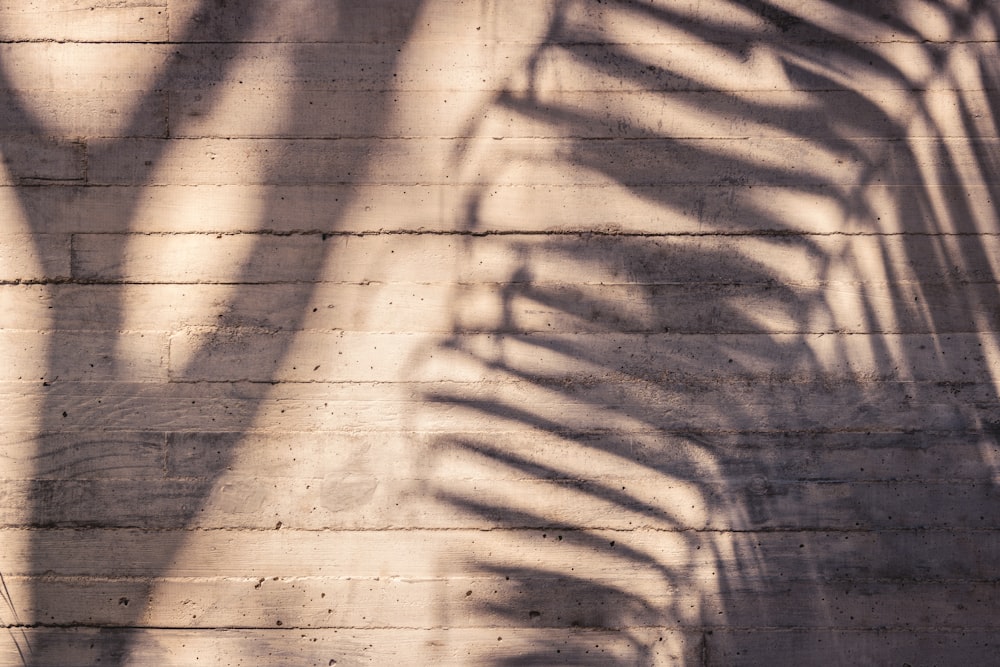 shadow of person on brown wooden wall