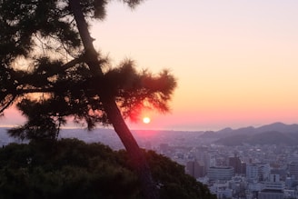 A vibrant sunset view from the site.