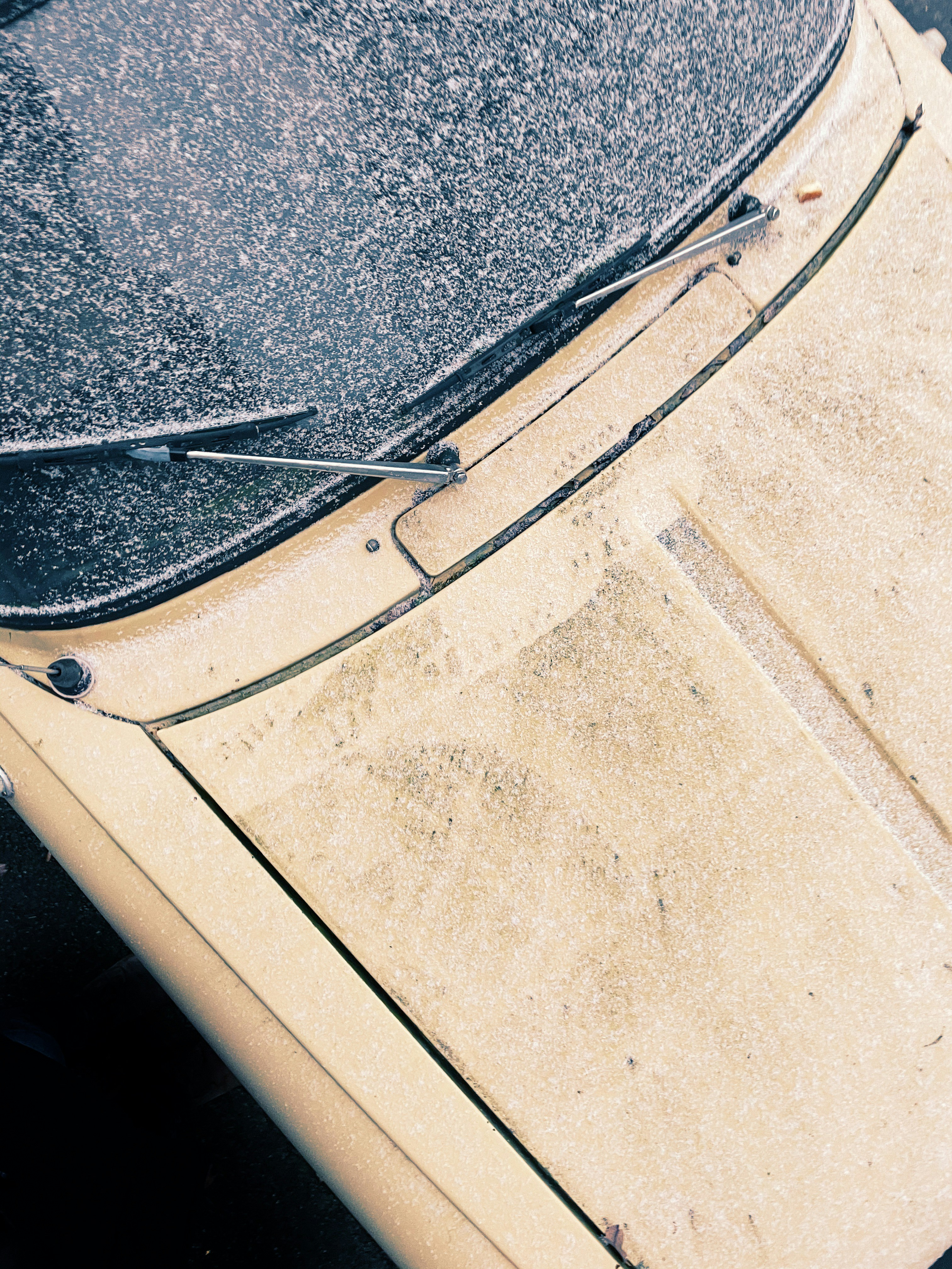 Photo by matheusfrade