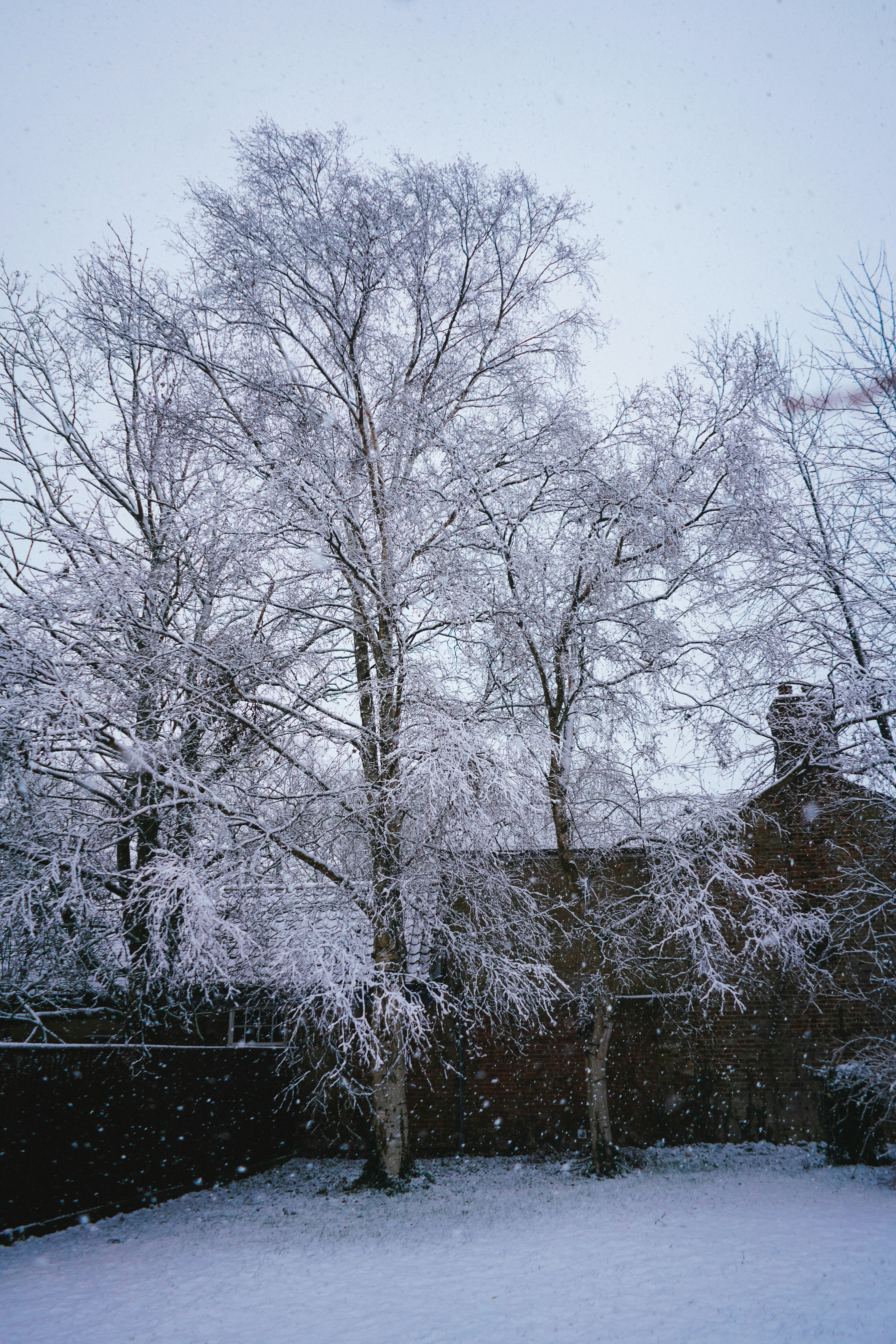 Photo by philhearing