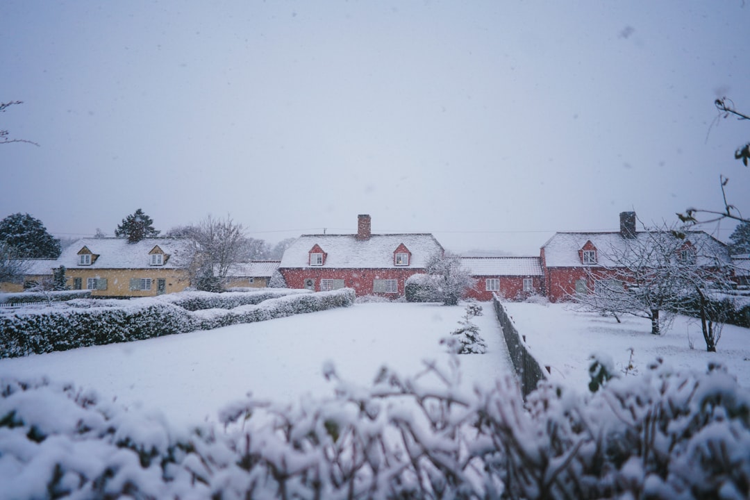 snow covered field during daytime