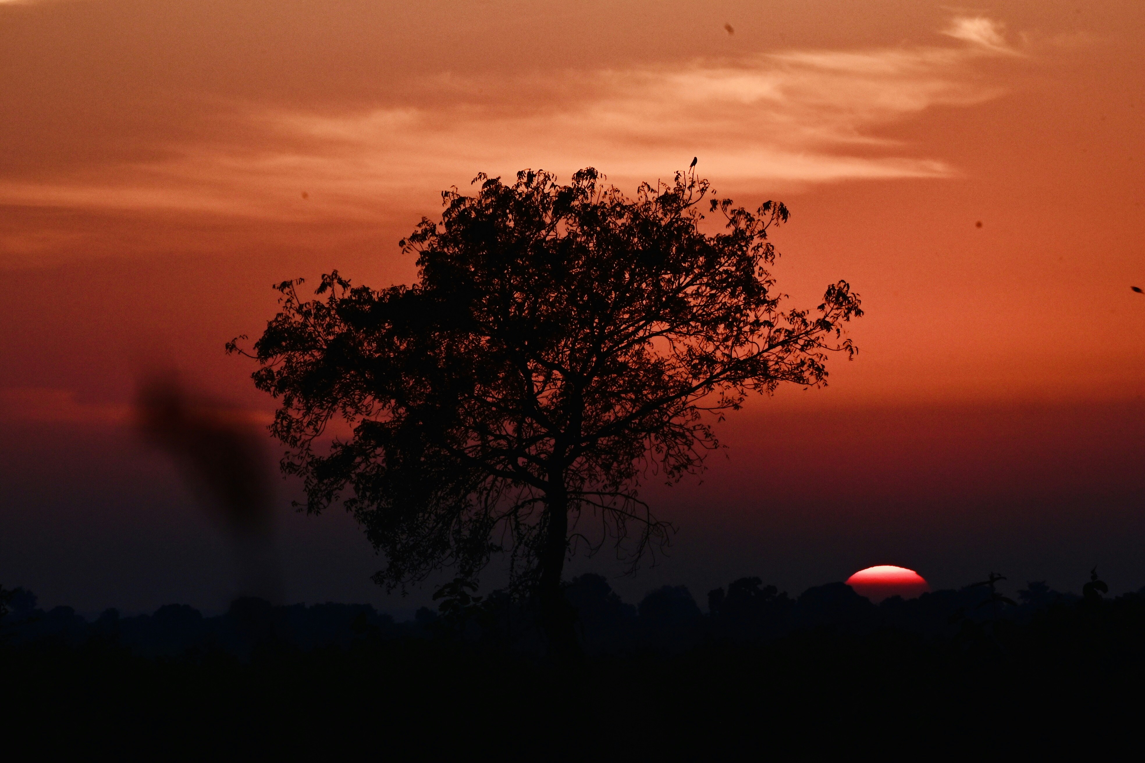 Photo by rrajputphotography