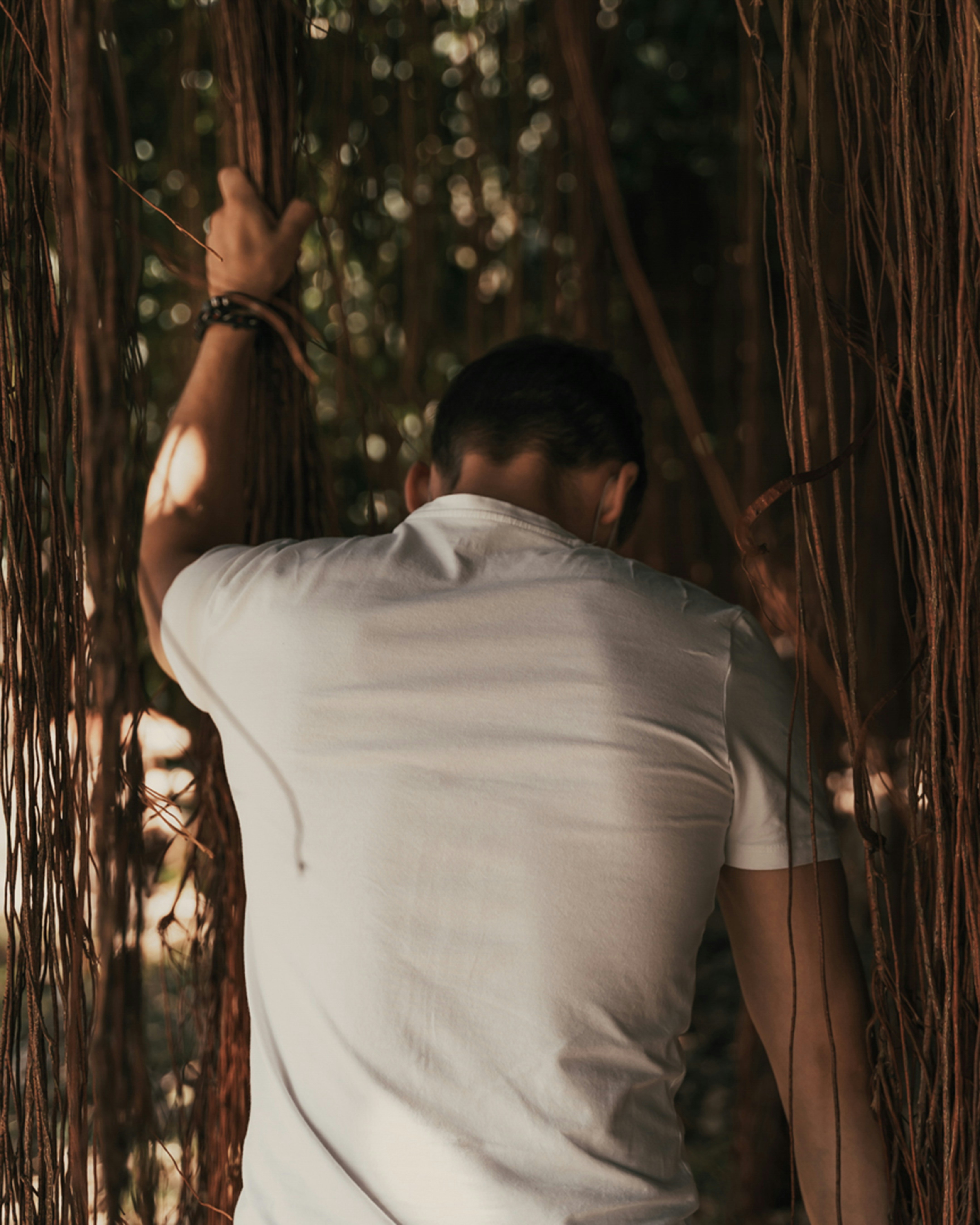 Photo by majesticlukas