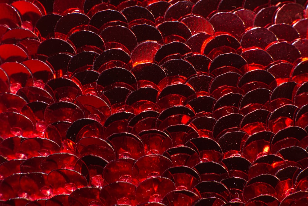 Chaises de stade rouges et noires
