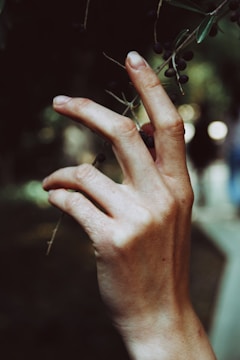 Close-up of hands gripping a thick branch being moved carefully.