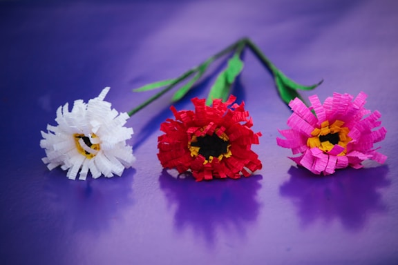 Three vibrant paper flowers are arranged horizontally on a purple background. The flowers, crafted from crepe paper, display intricate, fringed petals. Each flower has a distinct color: white with a hint of yellow at the center, deep red, and bright pink with a yellow core. The stems are green, adding a natural contrast to the vivid colors of the petals.
