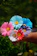 A smiling woman proudly holding her colorful paper flower craft.