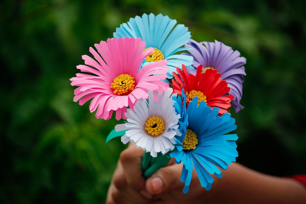 persona sosteniendo una flor rosa y blanca