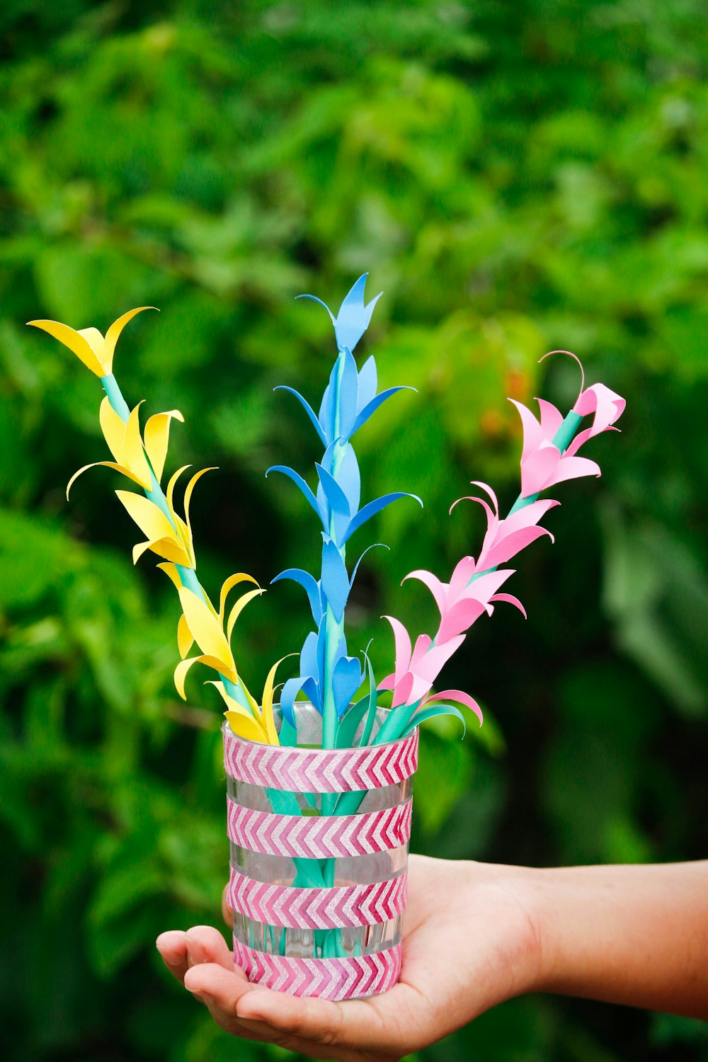 green and purple plant in pink and white vase