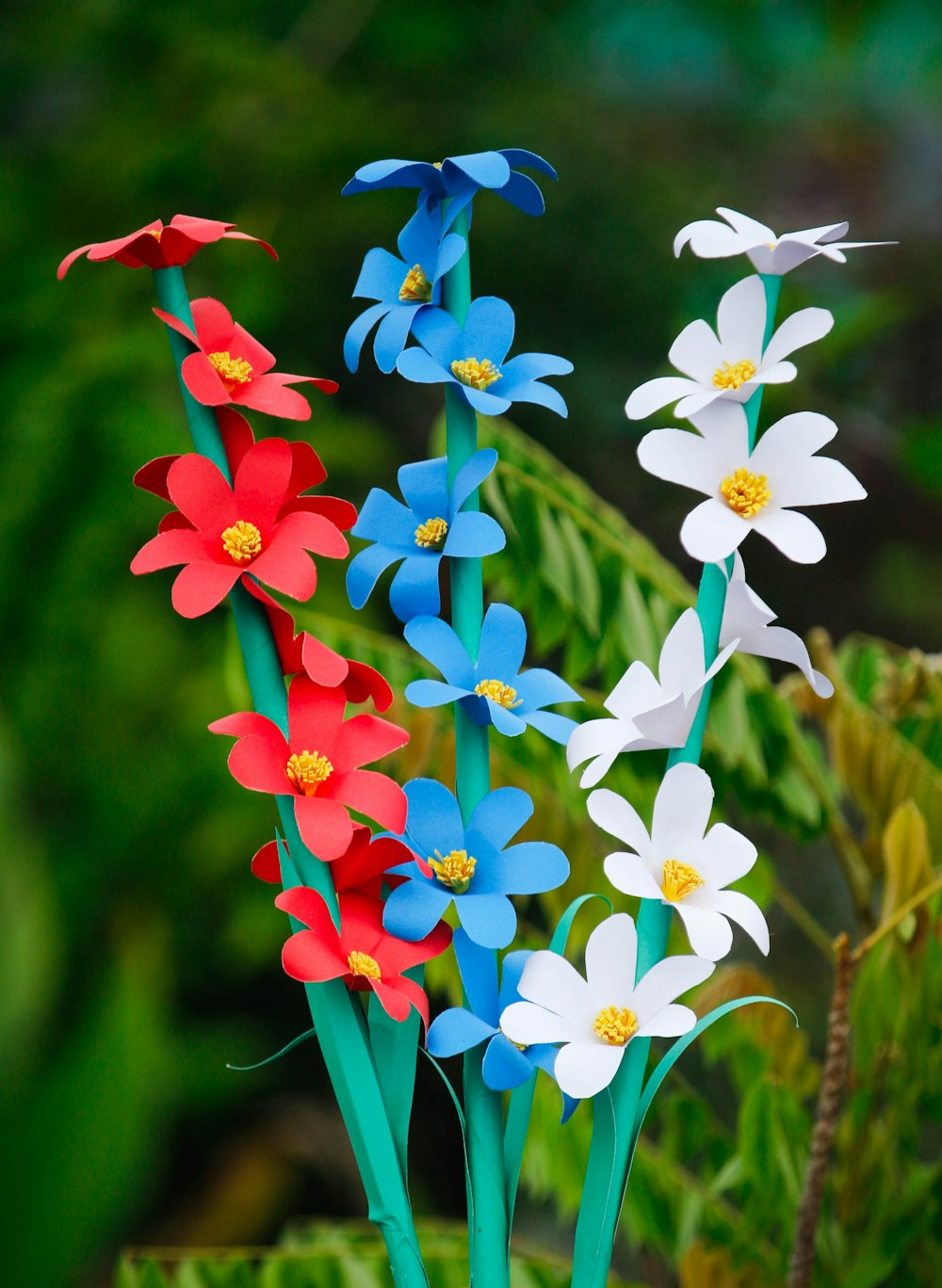 flores blancas, azules y rojas