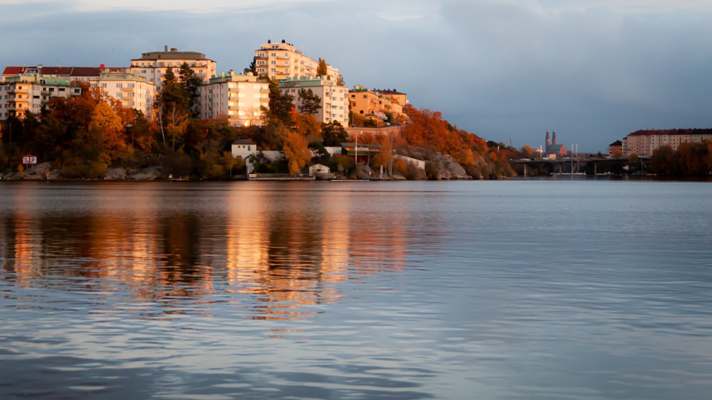 brown concrete building near body of water during daytime