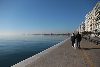A dog enjoying a solo walk with a walker along the Empire Outlets waterfront.