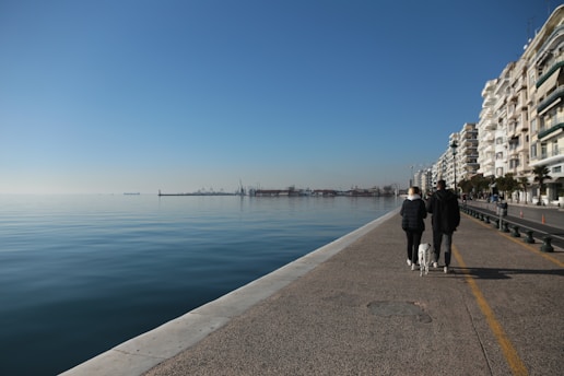 A dog enjoying a solo walk with a walker along the Empire Outlets waterfront.