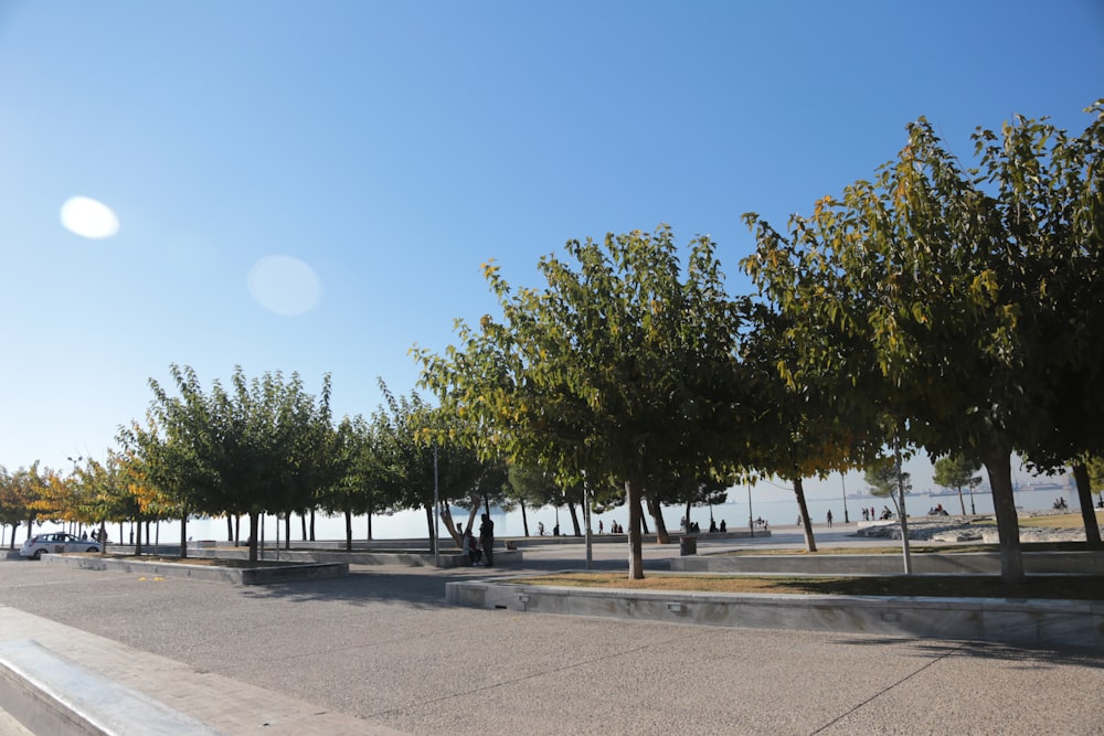 people walking on park during daytime